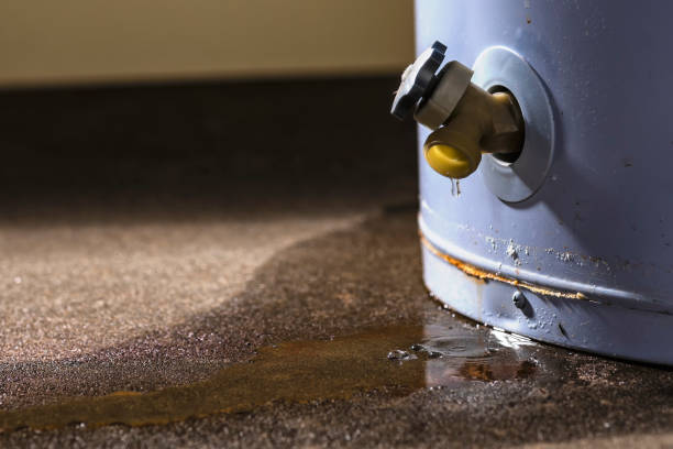 Best Emergency water damage restoration  in Mayo, MD