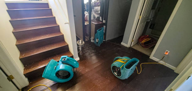 Best Professional water damage repair  in Mayo, MD