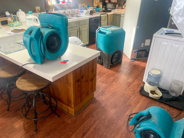 Best Residential water damage restoration  in Mayo, MD