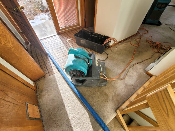 Best Flood damage cleanup  in Mayo, MD