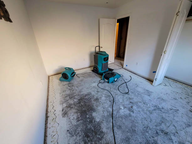 Best Flooded house restoration  in Mayo, MD