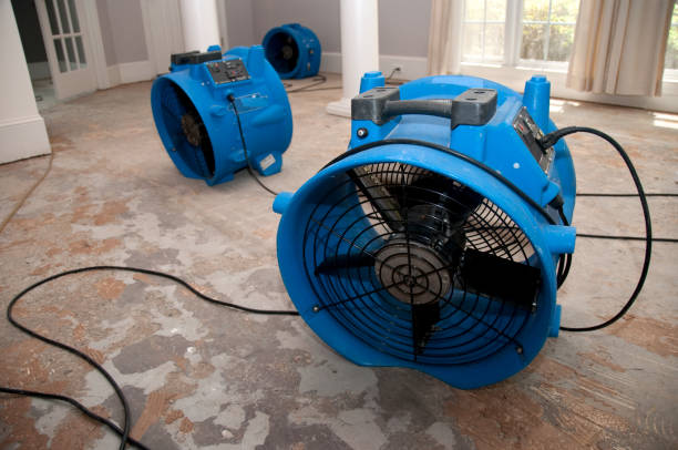 Best Commercial water damage restoration  in Mayo, MD