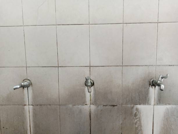 Best Mold removal after water damage  in Mayo, MD